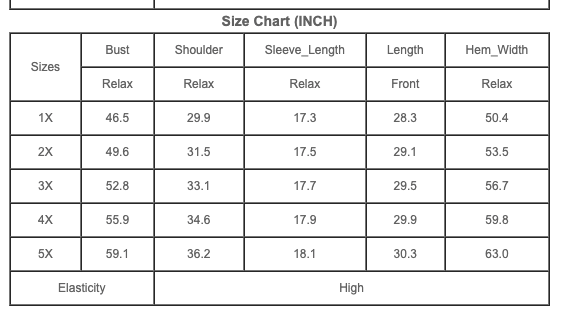 Plus Size Puff Sleeves Dress