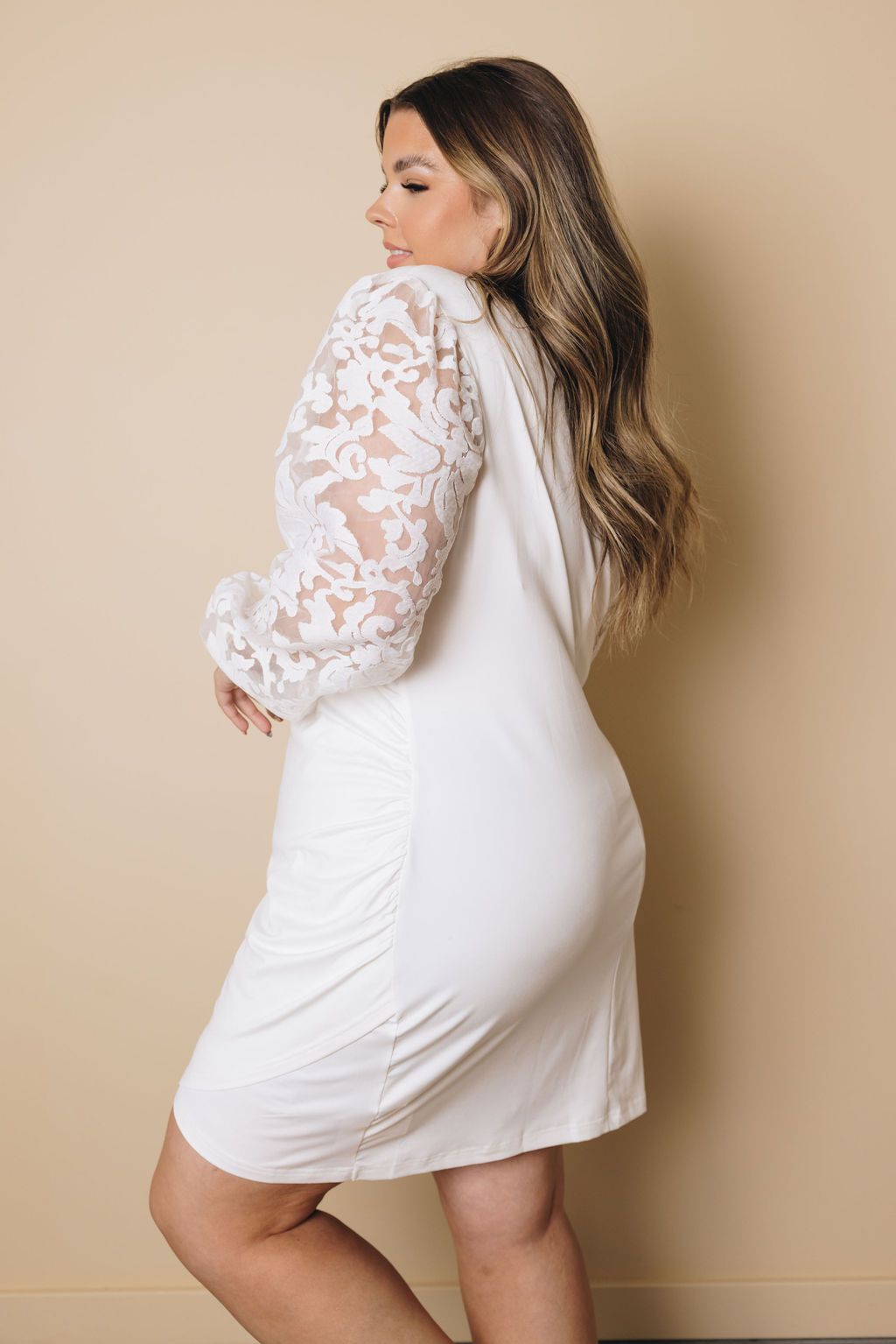 Plus Size Puff Sleeves Dress