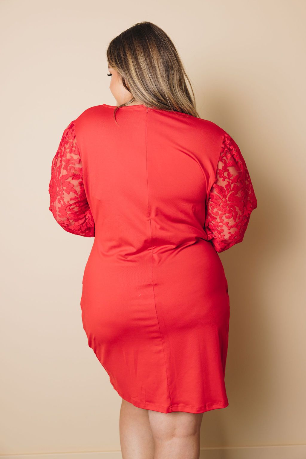 Plus Size Puff Sleeves Dress